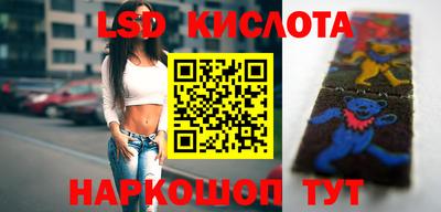 ГАЛЛЮЦИНОГЕННЫЕ ГРИБЫ Вязники