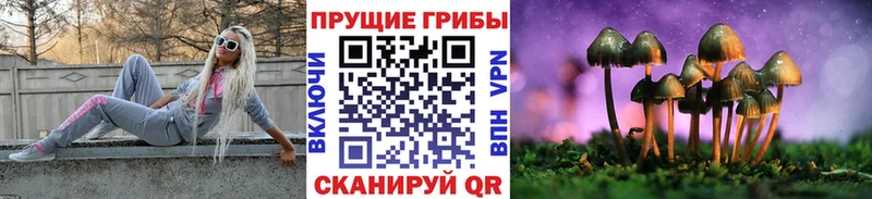 Галлюциногенные грибы мицелий Благодарный